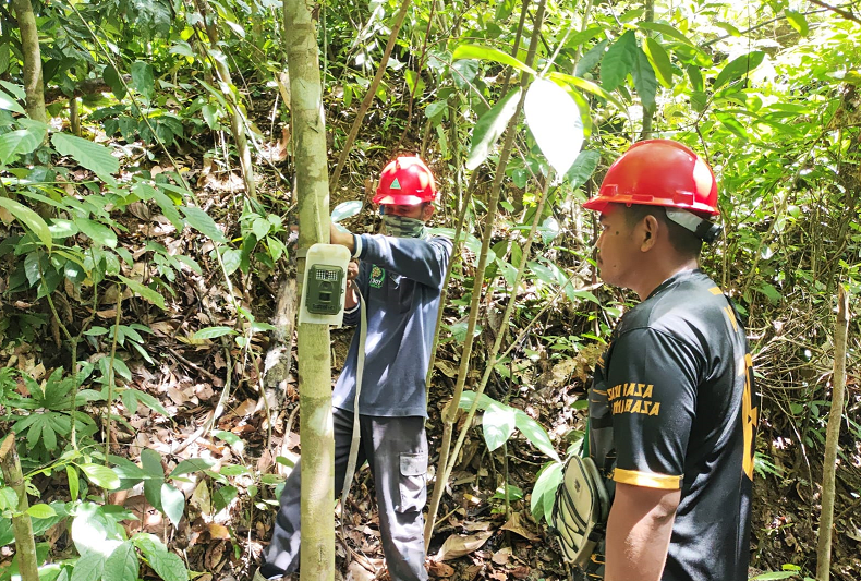 Pemantauan Satwa di PT Itci Hutani Manunggal